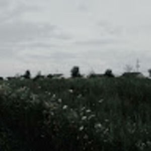 Meet your Posher, Stefany